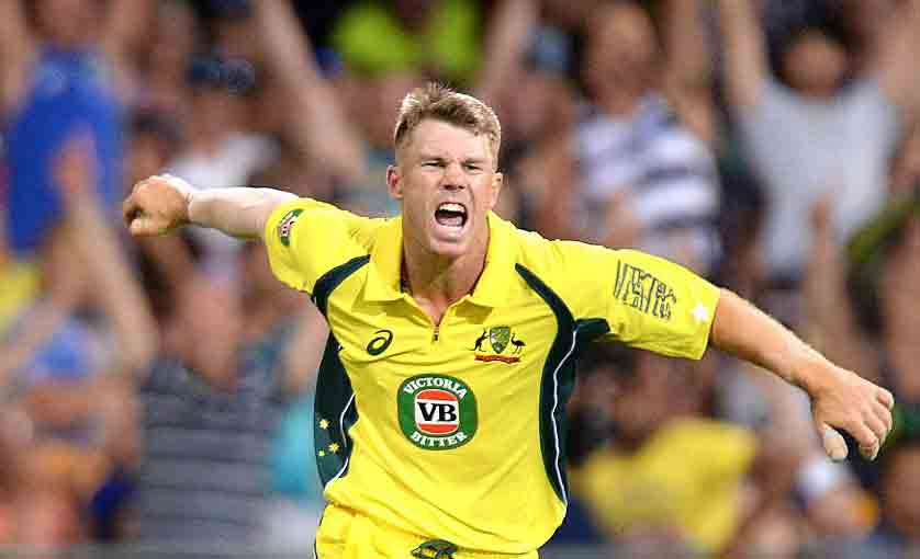 David Warner retires